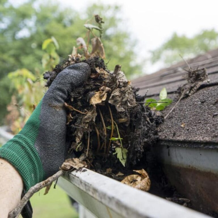 Gutter Washing Services in Leawood, KS