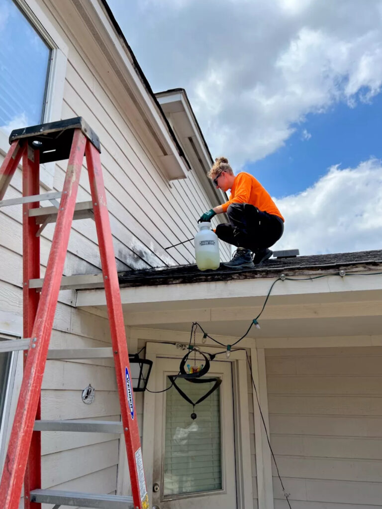 Roof Cleaning Services in Leawood, KS